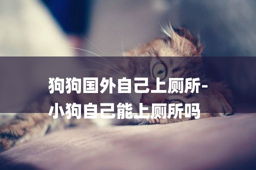 狗狗國外自己上廁所-
小狗自己能上廁所嗎