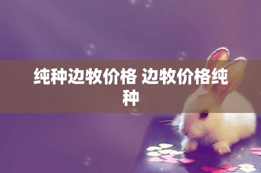 純種邊牧價格 邊牧價格純種