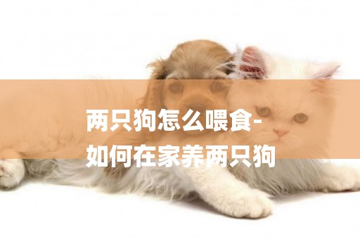 兩只狗怎么喂食-
如何在家養兩只狗