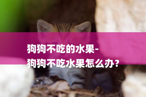 狗狗不吃的水果-
狗狗不吃水果怎么辦？