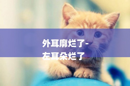 外耳廓爛了-
左耳朵爛了