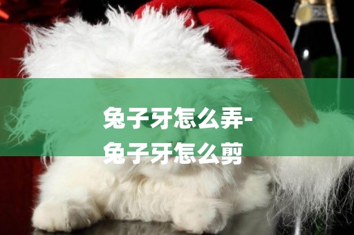 兔子牙怎么弄-
兔子牙怎么剪