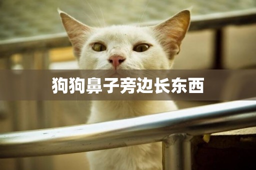 狗狗鼻子旁邊長東西