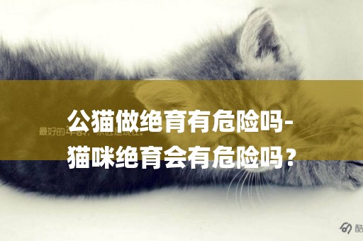 公貓做絕育有危險嗎-
貓咪絕育會有危險嗎？