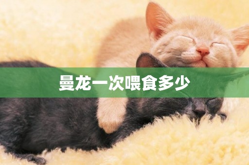 曼龍一次喂食多少