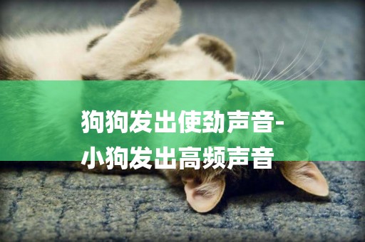 狗狗發出使勁聲音-
小狗發出高頻聲音