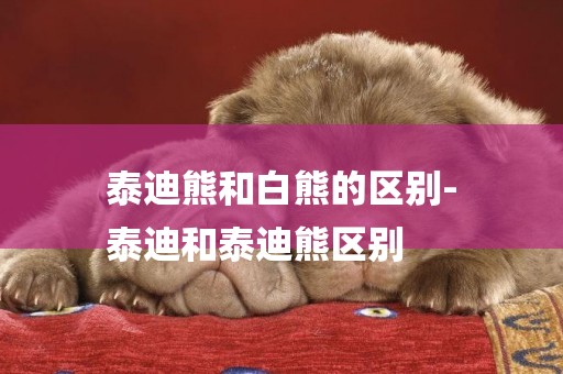 泰迪熊和白熊的區別-
泰迪和泰迪熊區別
