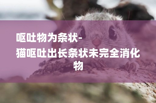 嘔吐物為條狀-
貓嘔吐出長條狀未完全消化物