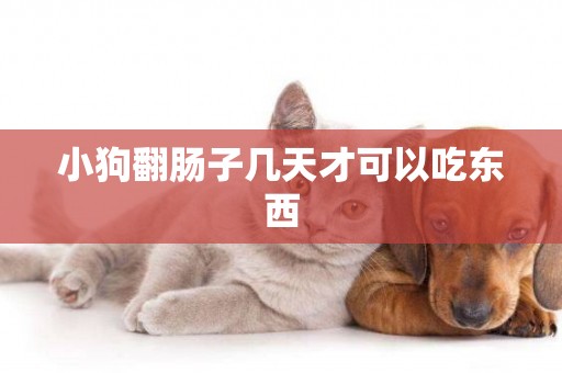 小狗翻腸子幾天才可以吃東西