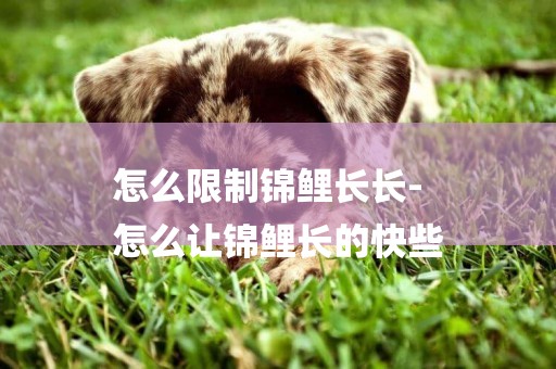 怎么限制錦鯉長長-
怎么讓錦鯉長的快些