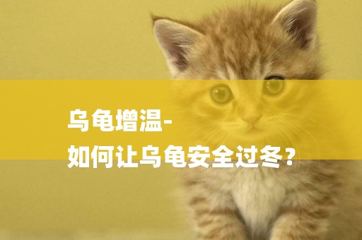 烏龜增溫-
如何讓烏龜安全過冬？