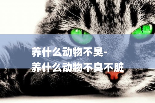 養什么動物不臭-
養什么動物不臭不臟