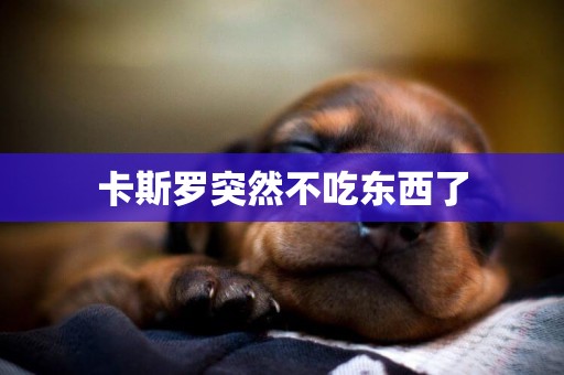 卡斯羅突然不吃東西了