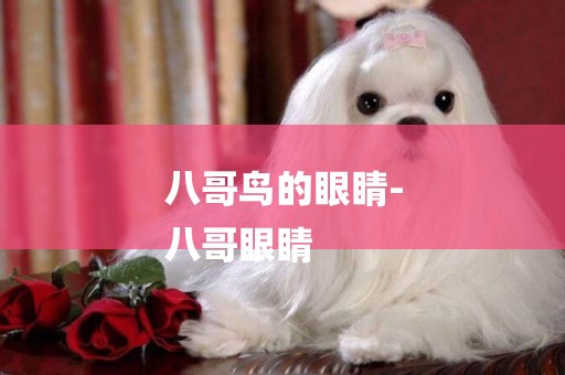八哥鳥的眼睛-
八哥眼睛