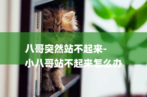 八哥突然站不起來-
小八哥站不起來怎么辦