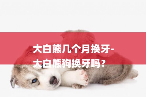 大白熊幾個月換牙-
大白熊狗換牙嗎？