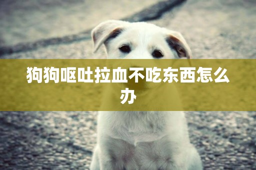 狗狗嘔吐拉血不吃東西怎么辦