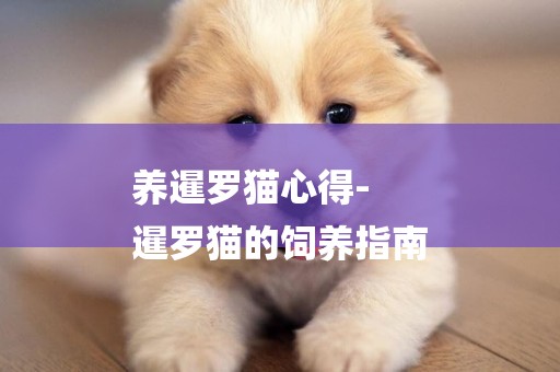 養暹羅貓心得-
暹羅貓的飼養指南