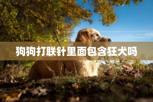狗狗打聯針里面包含狂犬嗎