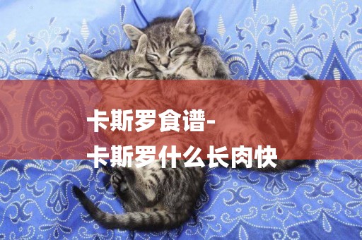 卡斯羅食譜-
卡斯羅什么長肉快
