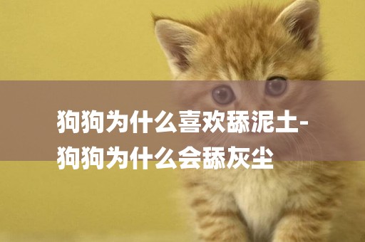狗狗為什么喜歡舔泥土-
狗狗為什么會舔灰塵