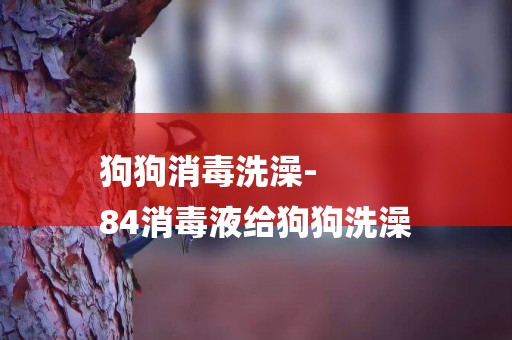 狗狗消毒洗澡-
84消毒液給狗狗洗澡