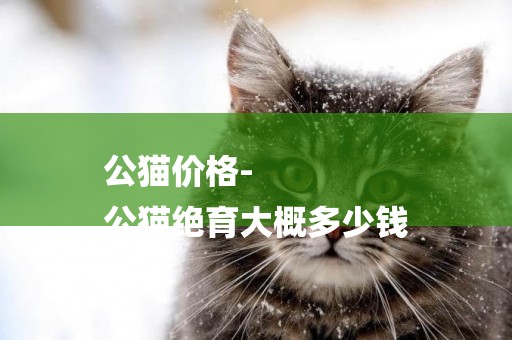 公貓價格-
公貓絕育大概多少錢