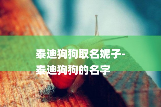 泰迪狗狗取名妮子-
泰迪狗狗的名字