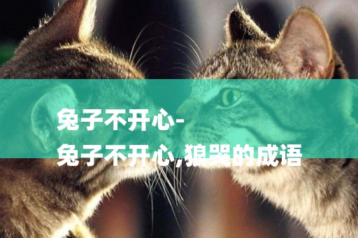 兔子不開心-
兔子不開心,狼哭的成語