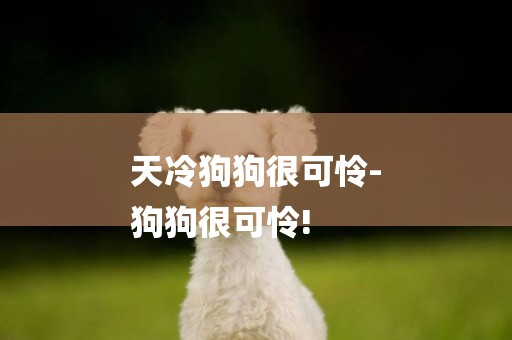天冷狗狗很可憐-
狗狗很可憐!