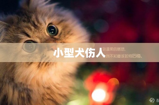 小型犬傷人