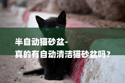半自動貓砂盆-
真的有自動清潔貓砂盆嗎？