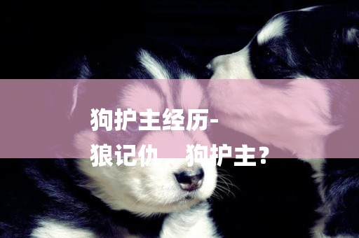 狗護主經歷-
狼記仇，狗護主？