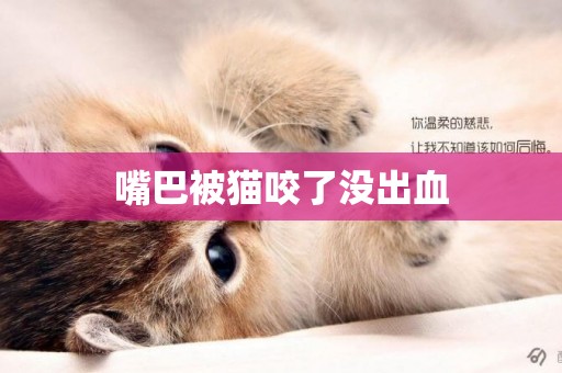 嘴巴被貓咬了沒出血