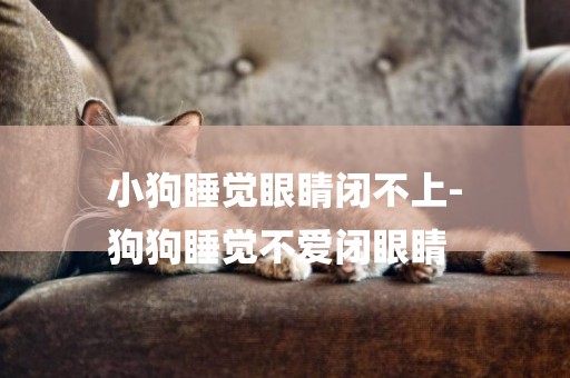 小狗睡覺眼睛閉不上-
狗狗睡覺不愛閉眼睛