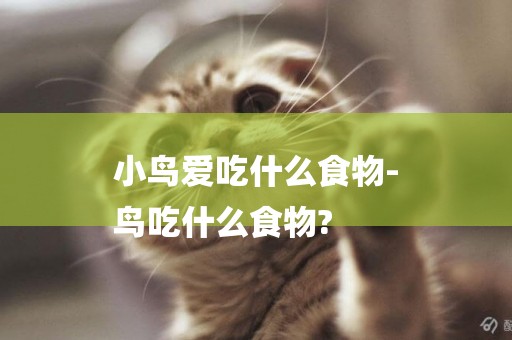 小鳥愛吃什么食物-
鳥吃什么食物?