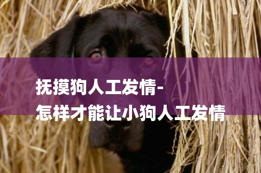 撫摸狗人工發情-
怎樣才能讓小狗人工發情