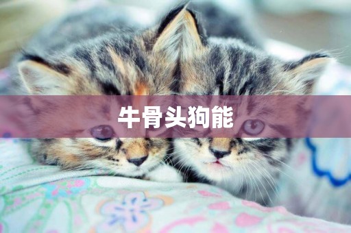 牛骨頭狗能