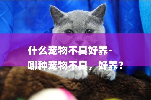 什么寵物不臭好養-
哪種寵物不臭，好養？