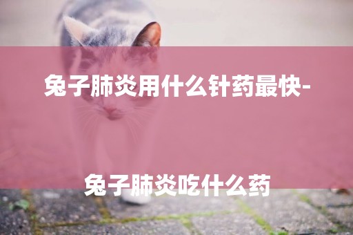 兔子肺炎用什么針藥最快-
兔子肺炎吃什么藥