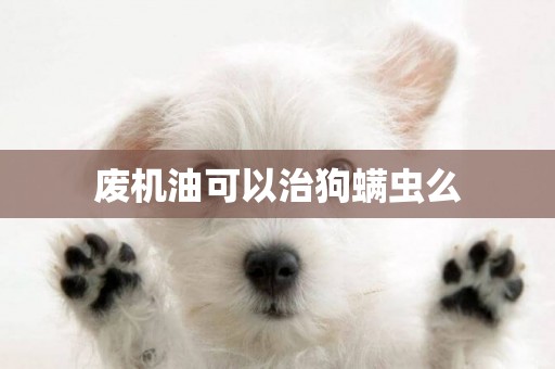廢機油可以治狗螨蟲么