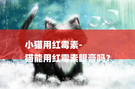 小貓用紅霉素-
貓能用紅霉素眼膏嗎？