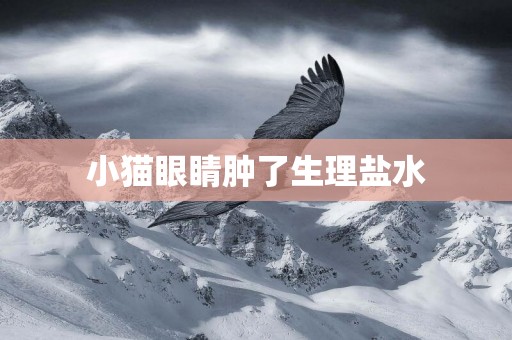 小貓眼睛腫了生理鹽水