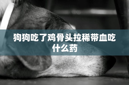 狗狗吃了雞骨頭拉稀帶血吃什么藥