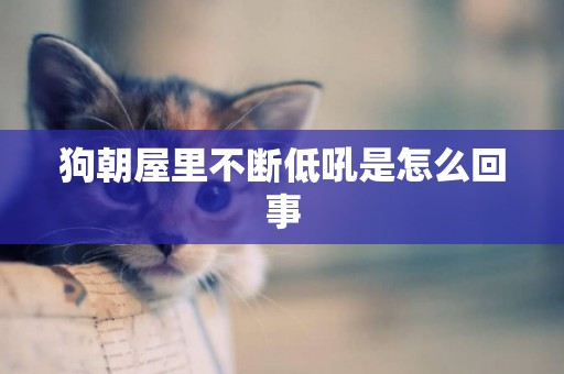 狗朝屋里不斷低吼是怎么回事