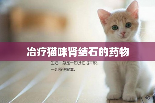冶療貓咪腎結石的藥物