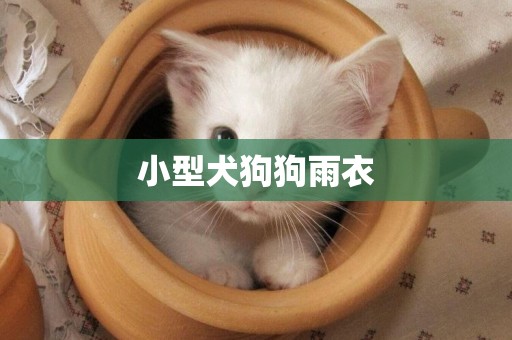 小型犬狗狗雨衣