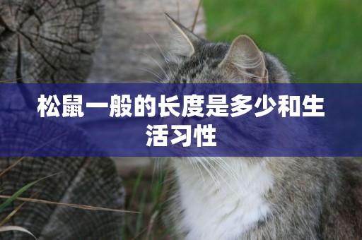 松鼠一般的長度是多少和生活習性