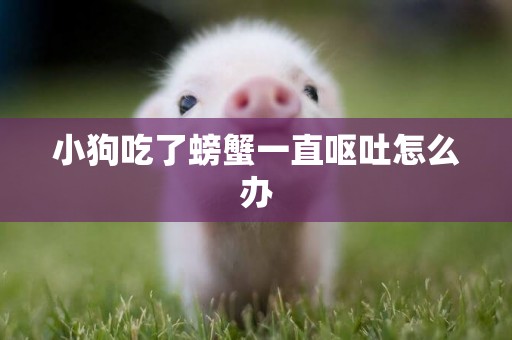 小狗吃了螃蟹一直嘔吐怎么辦