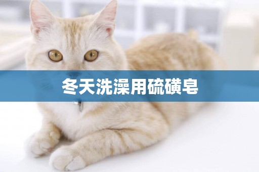 冬天洗澡用硫磺皂